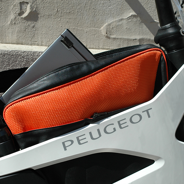 ebike Peugeot AE21