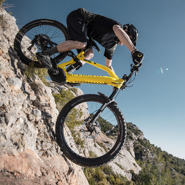 Vtt peugeot hotsell